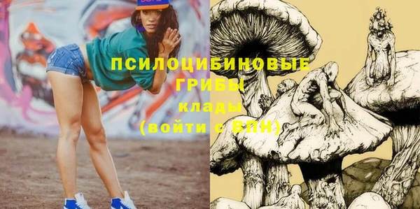 мдма Гусев
