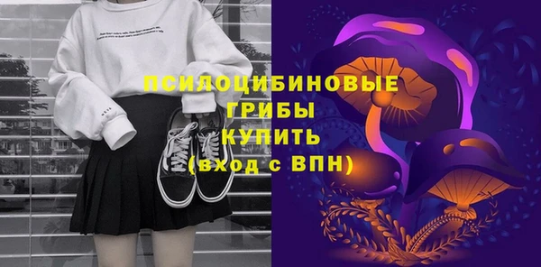 кокс Гусь-Хрустальный