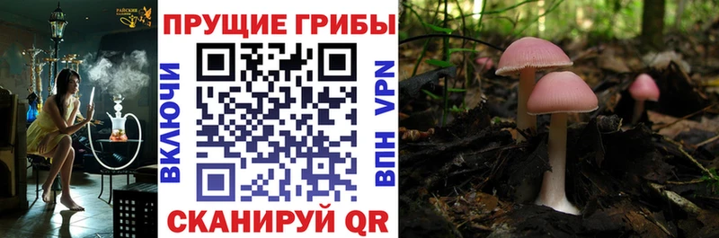 где продают наркотики  hydra tor  Галлюциногенные грибы мухоморы  Южно-Сахалинск 